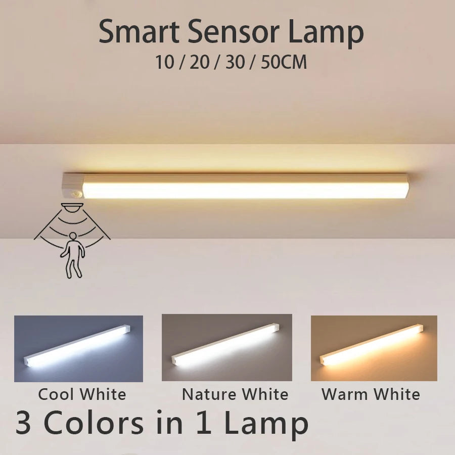 Rechargeable LED Motion Sensor Light